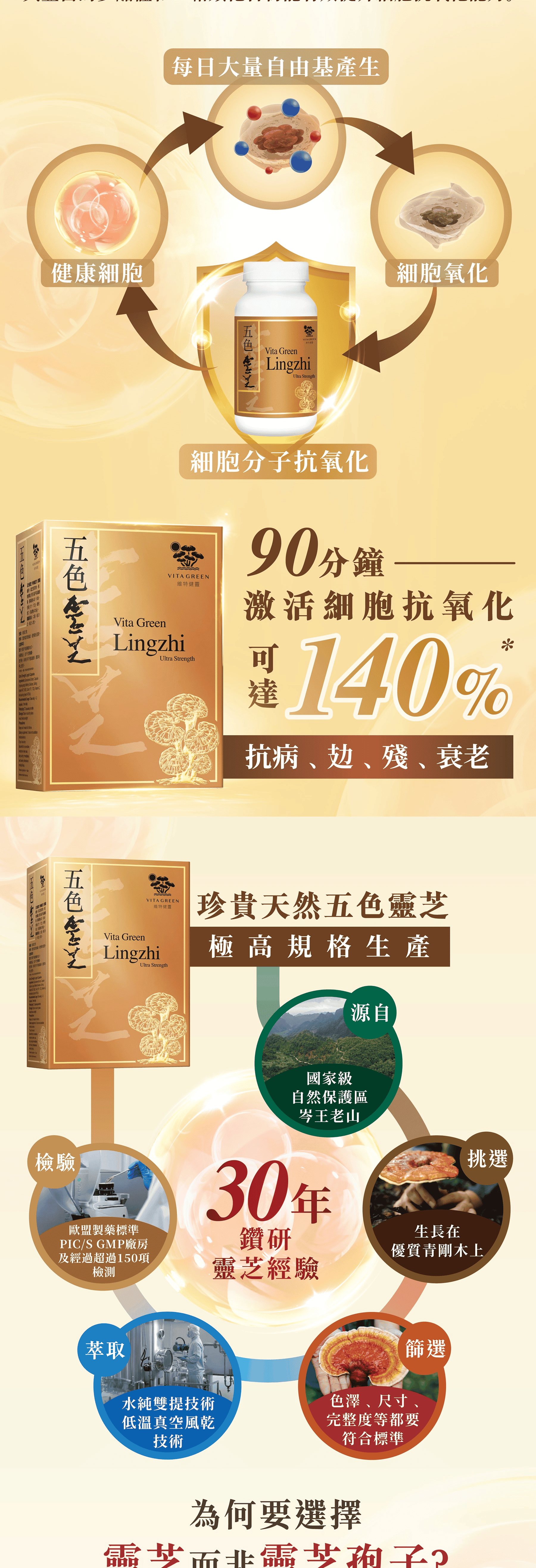 yuu The Biggest Rewards Club Ever