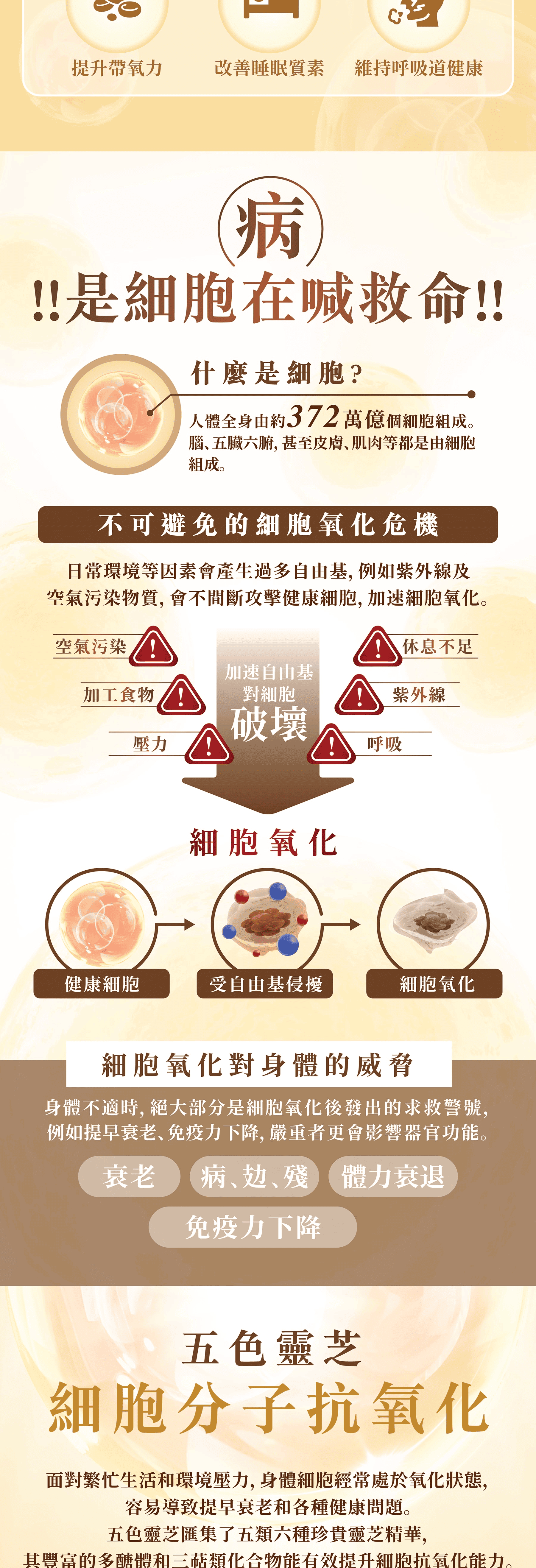 yuu The Biggest Rewards Club Ever