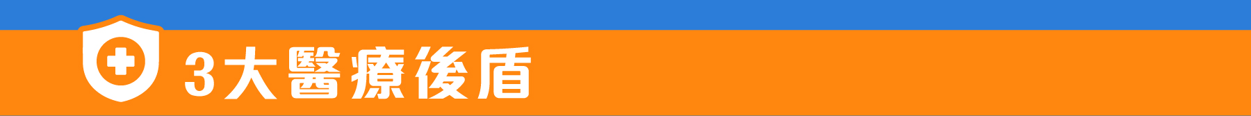 3 大醫療後盾